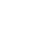 icons8-badge-100